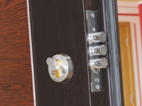 Заключващи шипове при бравата на метална входна врата